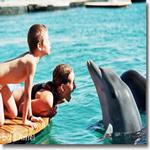Delfinario "naturale" di Eilat aiuta i bimbi disabili e malati