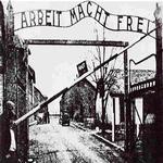 Germania, ritrovato l'originale documento della "soluzione finale" di Hitler: un'altra prova della Shoà