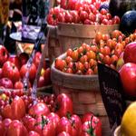 Imballaggi alimentari innovativi all'Università Ebraica di Gerusalemme