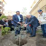 Un ulivo a Regina Coeli per ricordare il 16 ottobre