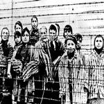 Oltre un milione di nomi nel database US Holocaust Memorial Museum ed Ancestors.com