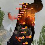 L'intifada degli incendi